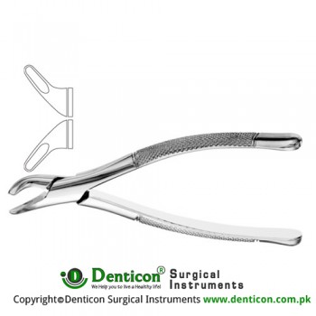 American Pattern Tooth Extracting Forcep (Child) Fig. 151S (For Lower Primary Teeth and Roots) Stainless Steel, Standard